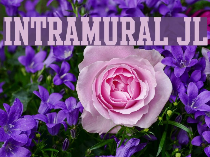 Intramural JL Font examples