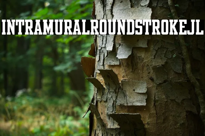 Intramural Roundstroke JL Example 1