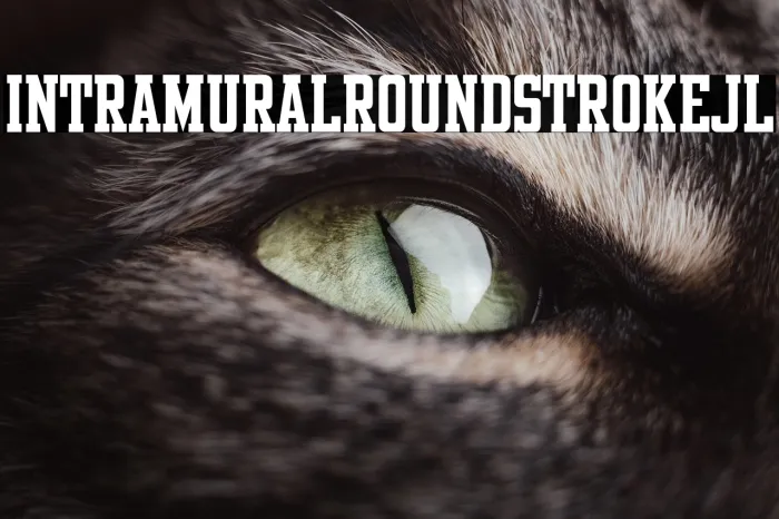 Intramural Roundstroke JL Example 2