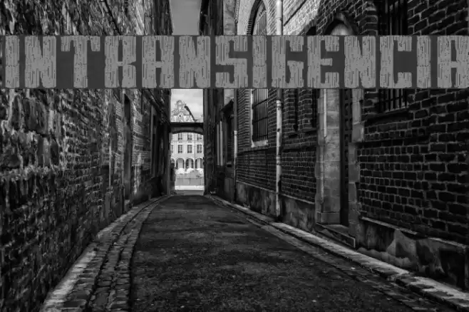 Intransigencia Font examples