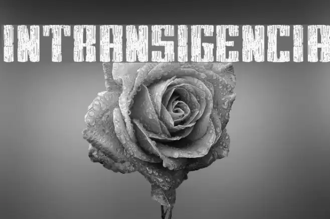 Intransigencia Font examples