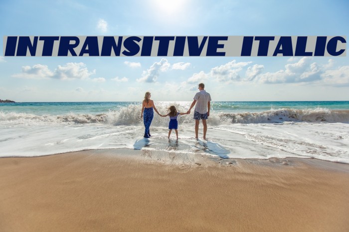 Intransitive Italic Font examples