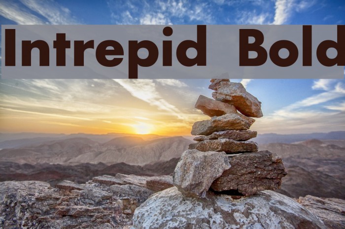 Intrepid Bold Font examples