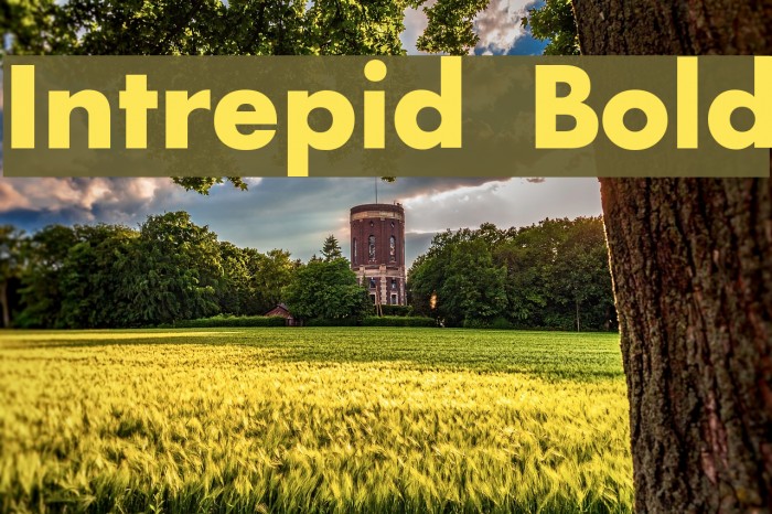 Intrepid Bold Font examples