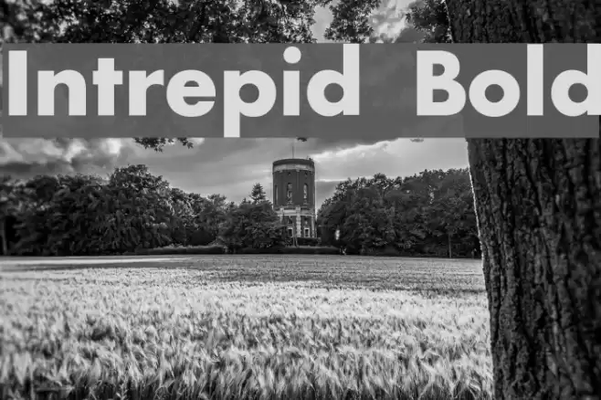 Intrepid Bold Шрифта examples
