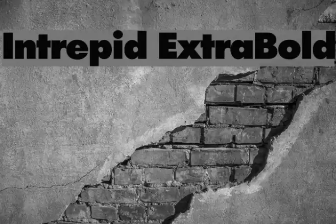 Intrepid ExtraBold Polices examples