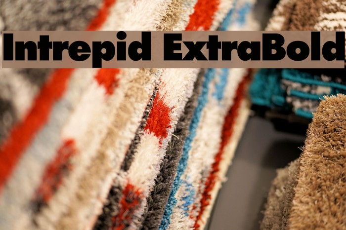 Intrepid ExtraBold Font examples