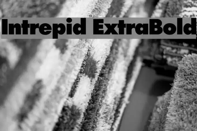 Intrepid ExtraBold Polices examples