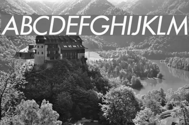 Intrepid Italic Font examples