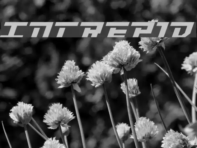 Intrepid フォント examples