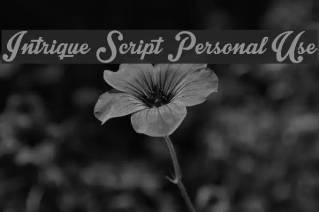 Intrique Script Personal Use Font examples