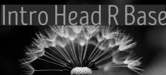 Intro Head R Base Font examples