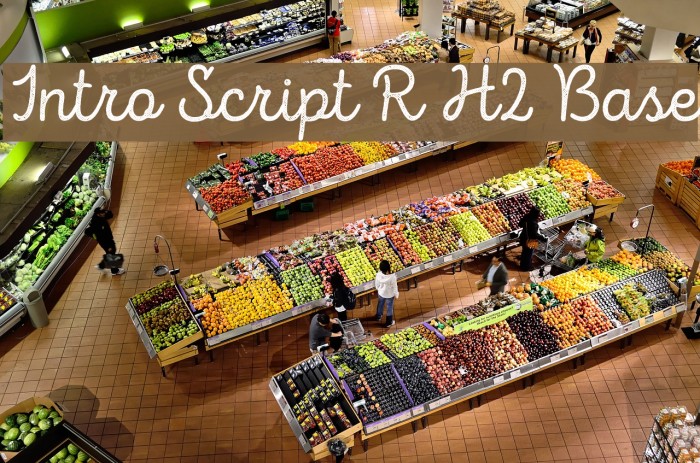Intro Script R H2 Base Font examples