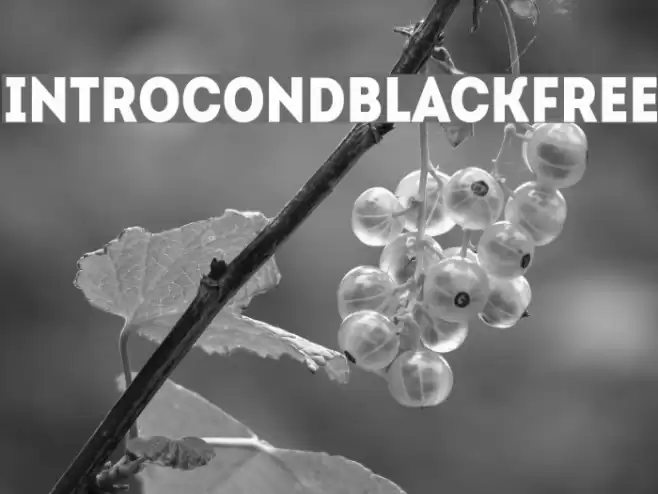 IntroCondBlackFree Font examples