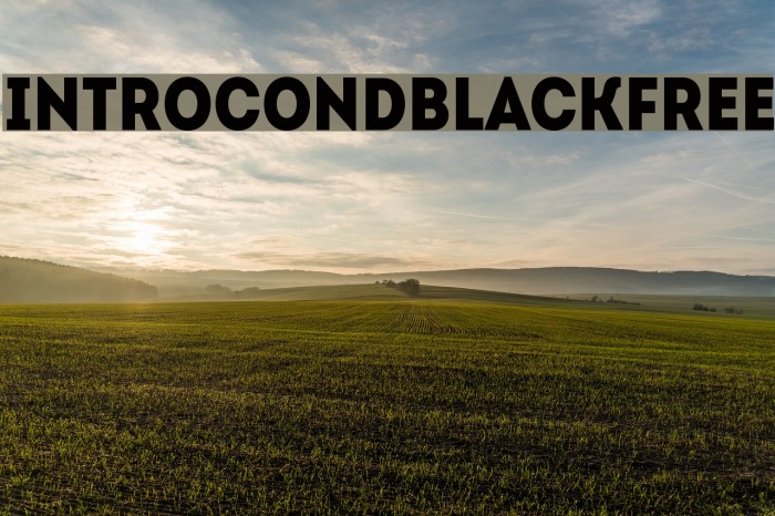 IntroCondBlackFree Font examples