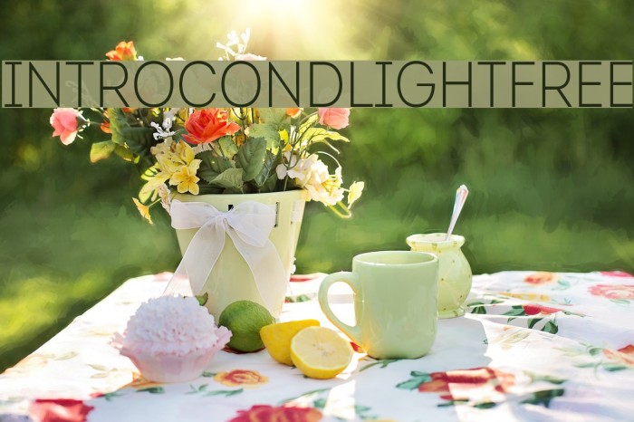 IntroCondLightFree Font examples