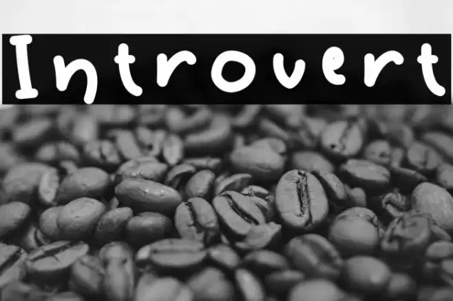 Introvert Font examples