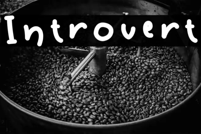 Introvert Font examples