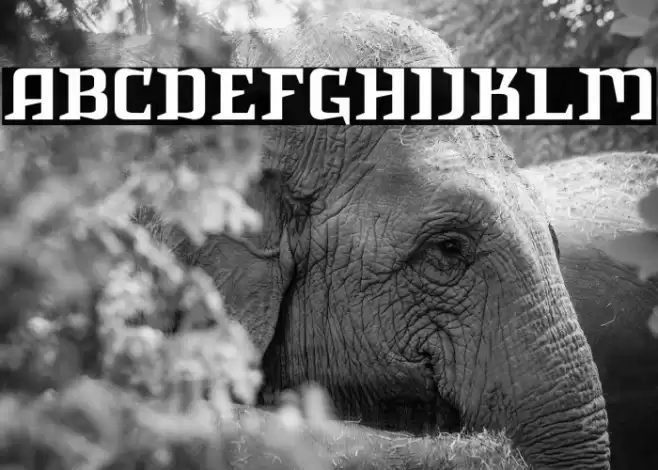 IntruderAlert Font examples