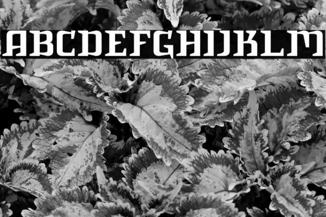 IntruderAlert Font examples