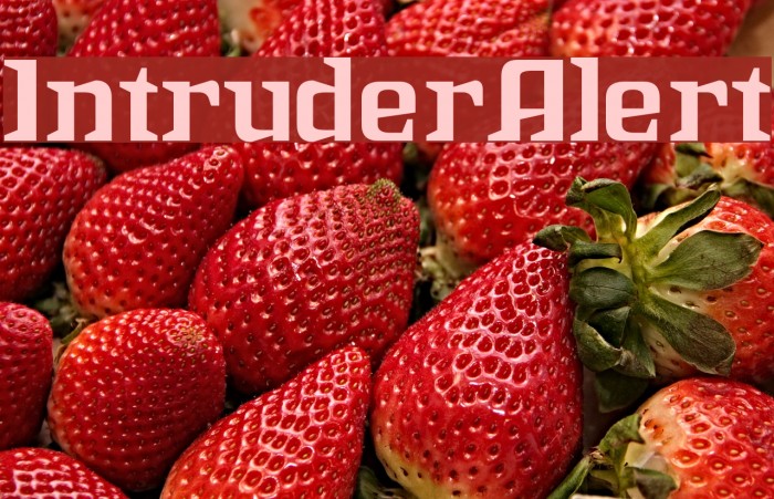 IntruderAlert Шрифта examples
