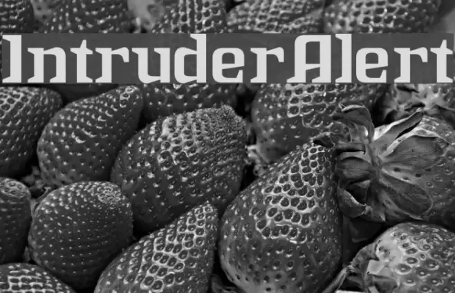 IntruderAlert Шрифта examples