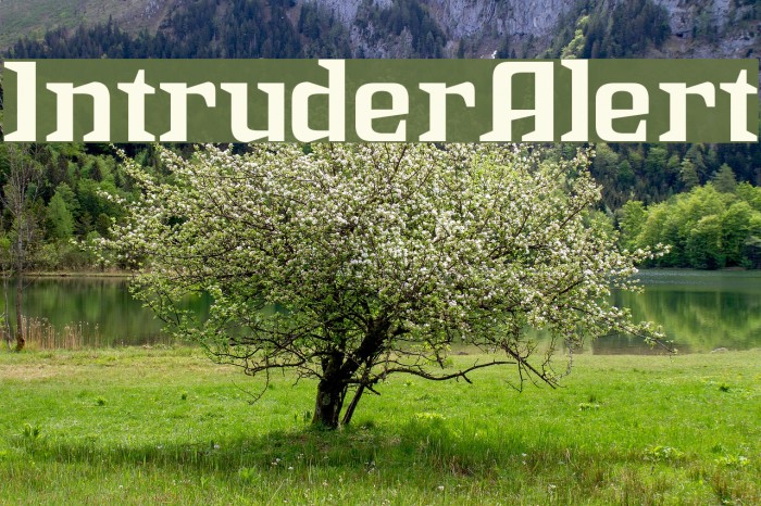 IntruderAlert Шрифта examples