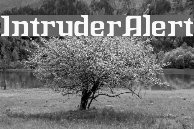 IntruderAlert Шрифта examples