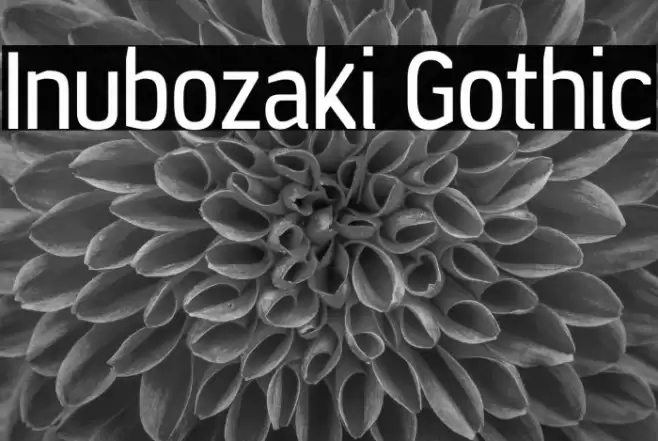 Inubozaki Gothic Font examples