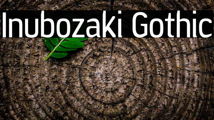 Inubozaki Gothic Example 2