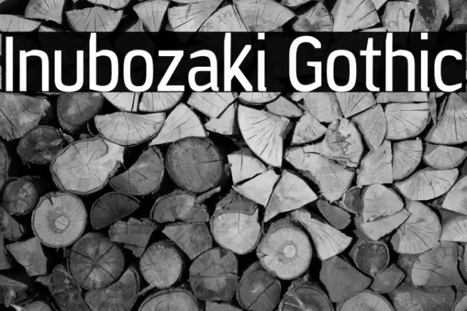 Inubozaki Gothic Font examples