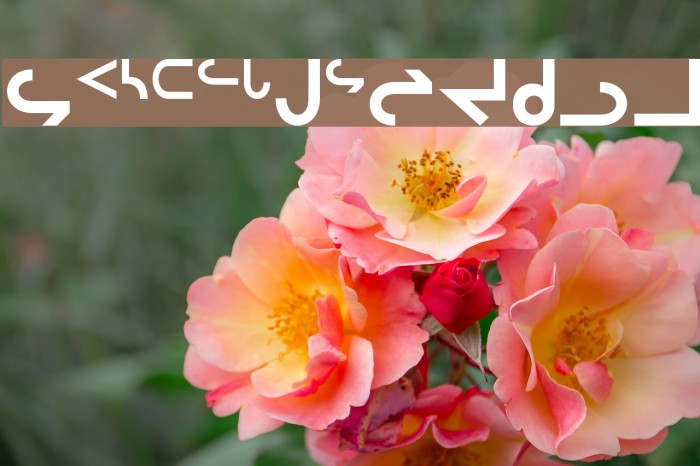 Inuktitut-Sri Regular Шрифта examples