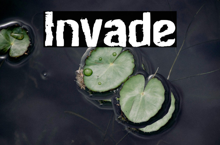 Invade Example 3