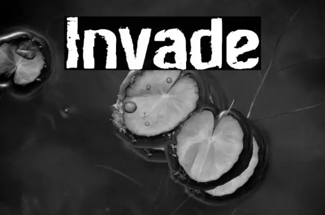 Invade Font examples