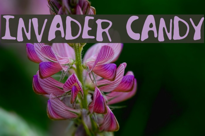 Invader Candy Schriftart examples