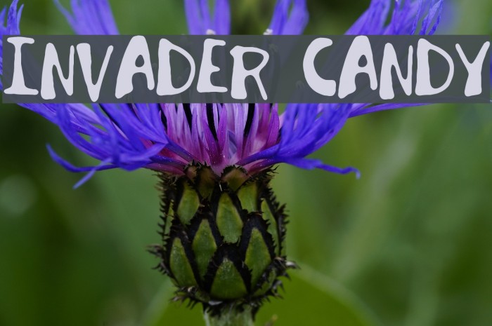 Invader Candy Schriftart examples
