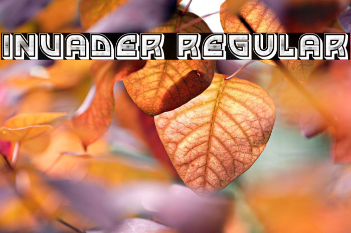 Invader Regular Example 2