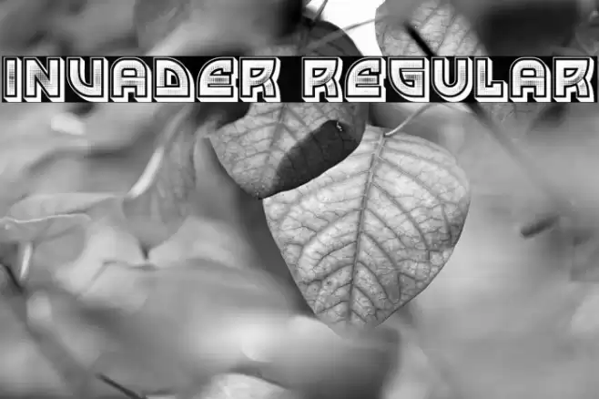 Invader Regular Font examples