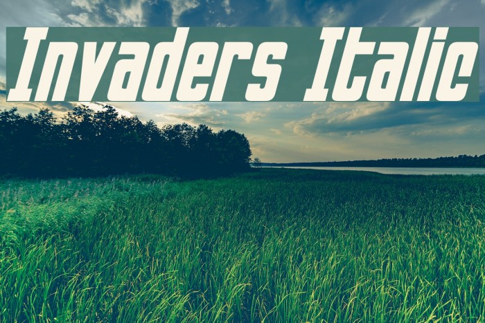 Invaders Italic Font examples