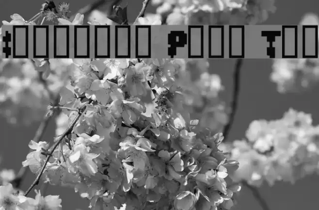 Invaders Part Two Font examples