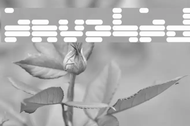 Invalid Font examples