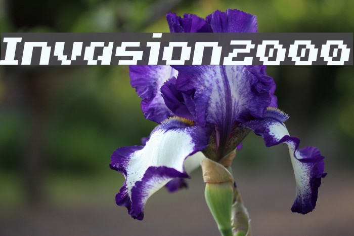 Invasion2000 Font examples