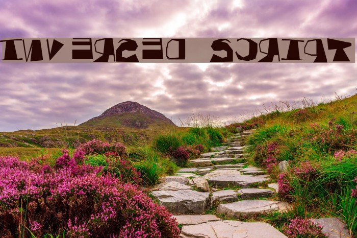 Inversed Script Font - FFonts.net