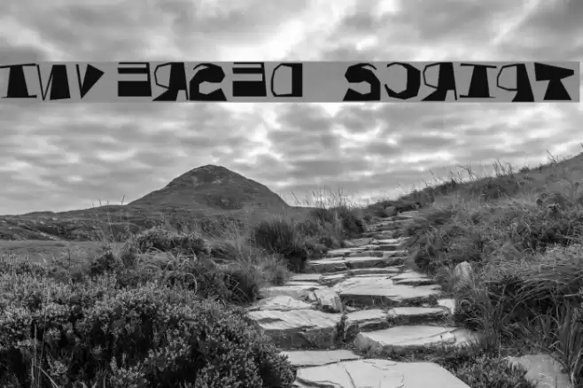 Inversed Script Font examples