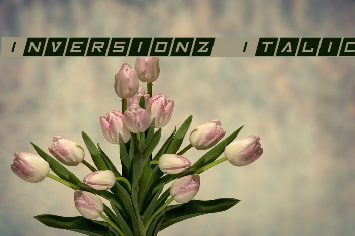 Inversionz Italic Font examples