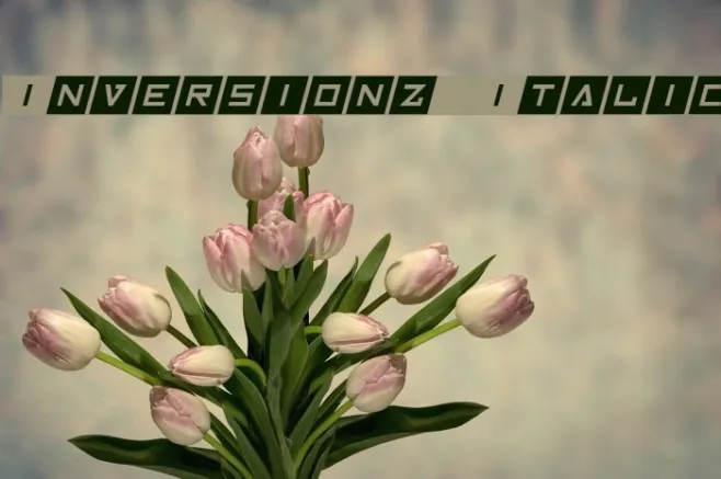 Inversionz Italic Example 1