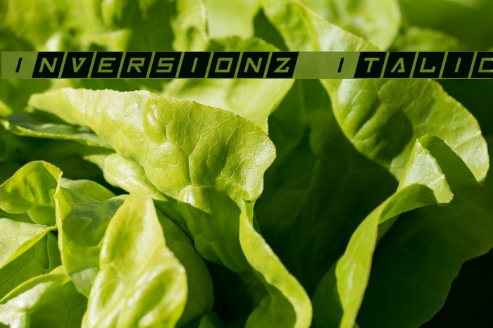 Inversionz Italic Font examples