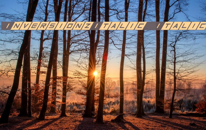 InversionzItalic Italic Example 2