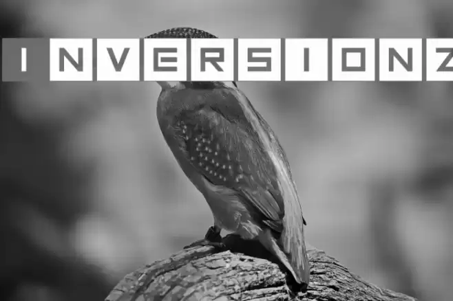 Inversionz Font examples
