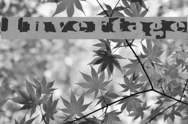 Invertage Font examples